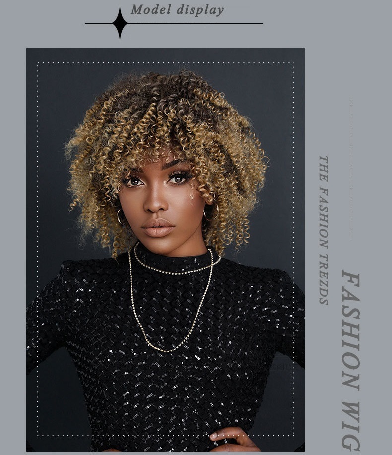 African Curly Afro Wig