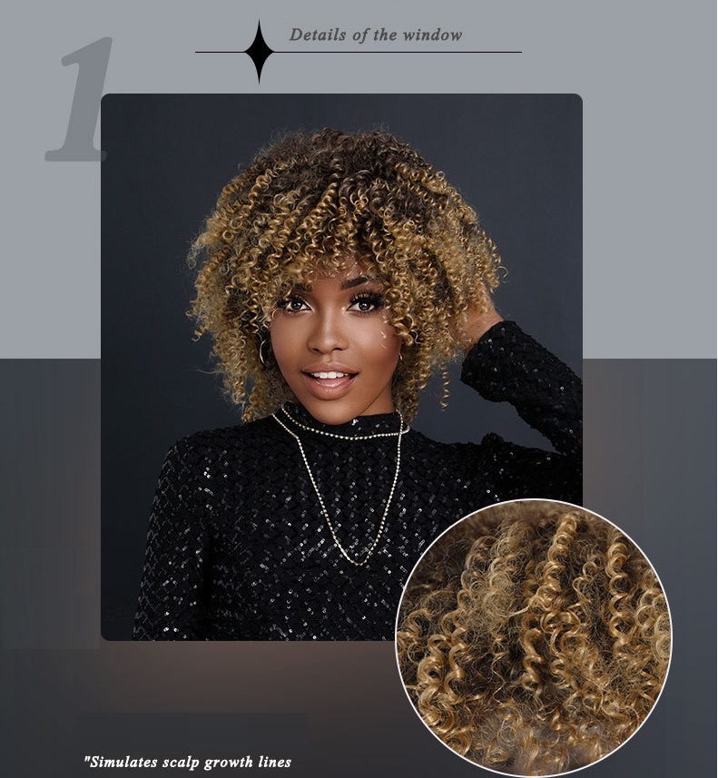 African Curly Afro Wig