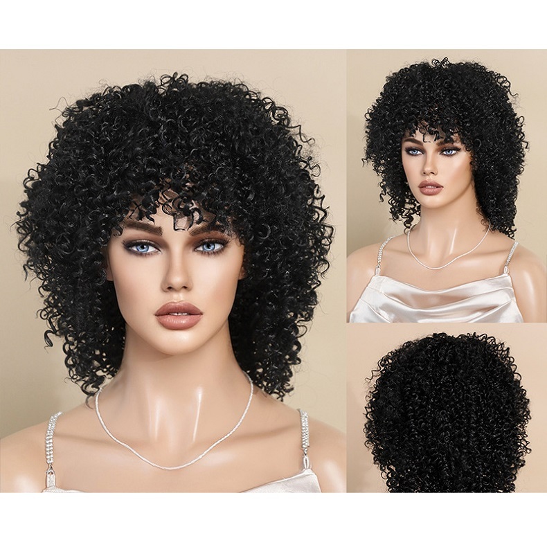 African Curly Afro Wig
