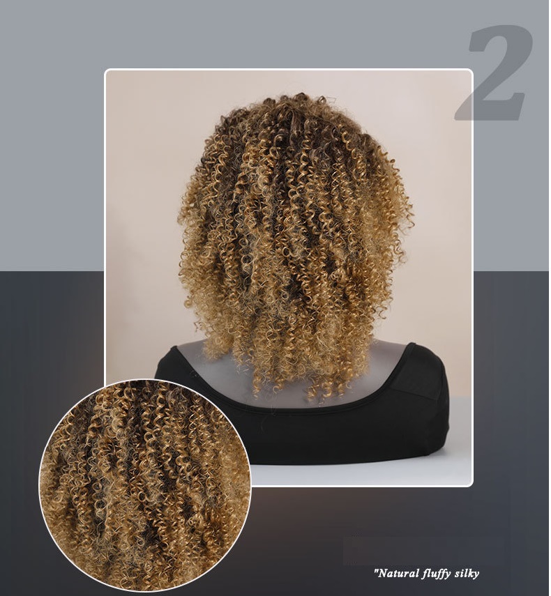 African Curly Afro Wig