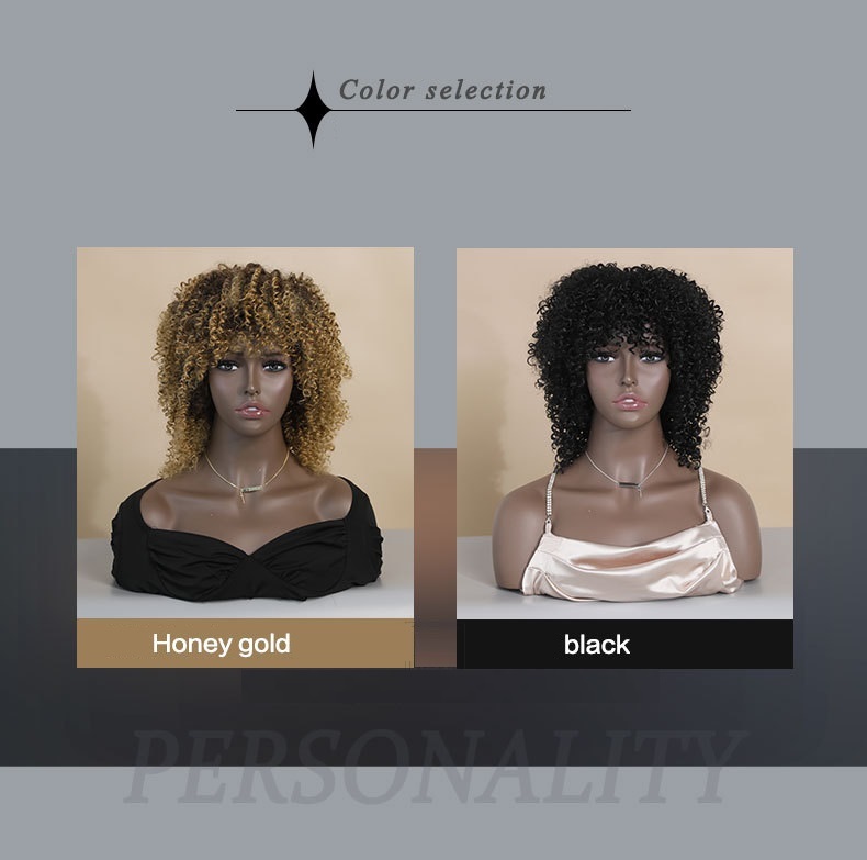 African Curly Afro Wig