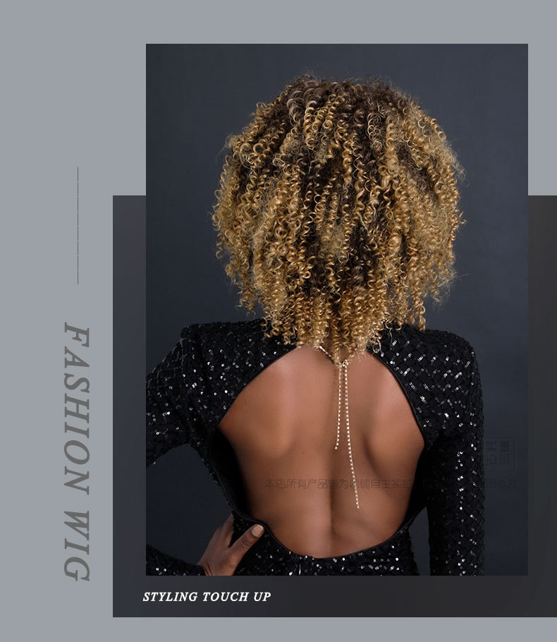 African Curly Afro Wig