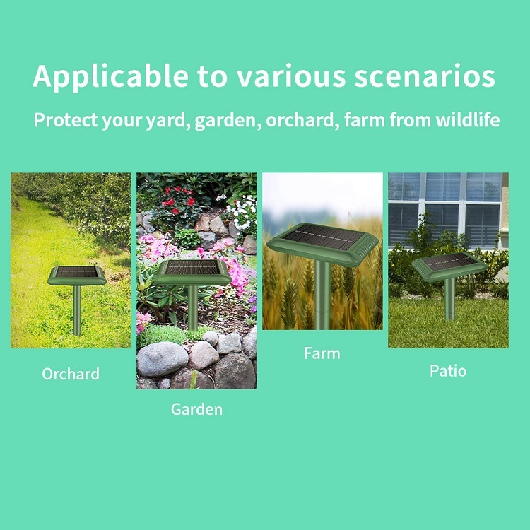 Solar-Powered Mole Repeller