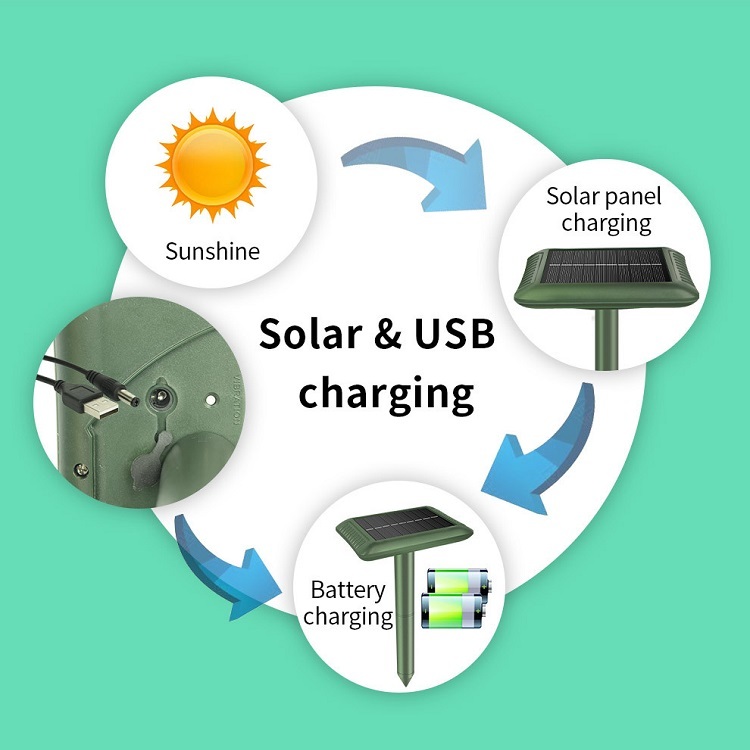 Solar-Powered Mole Repeller