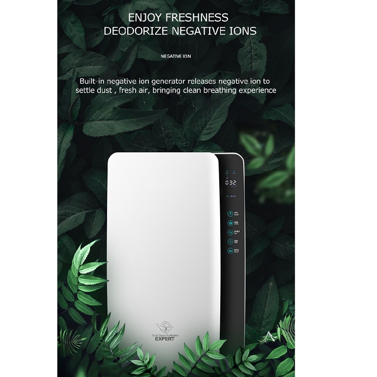 Formaldehyde Air Purifier