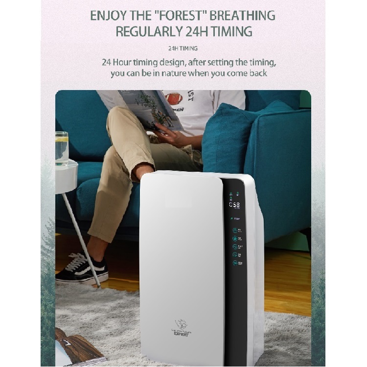 Formaldehyde Air Purifier