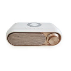 white + oil spray gold 10W