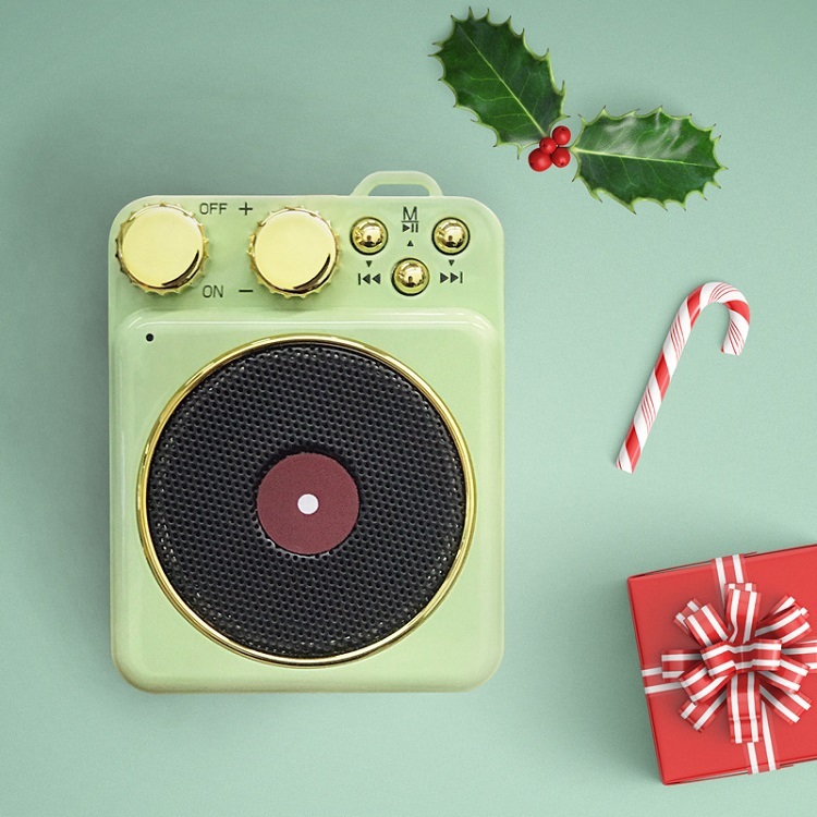 Mini Speaker with FM Radio