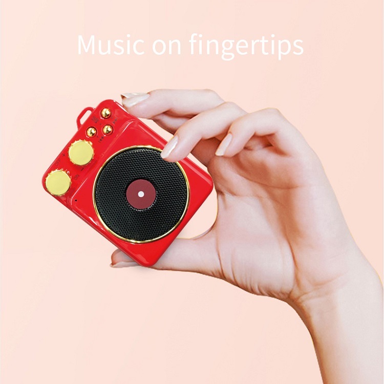 Mini Speaker with FM Radio