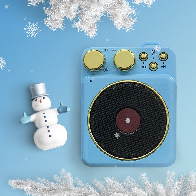 Mini Speaker with FM Radio