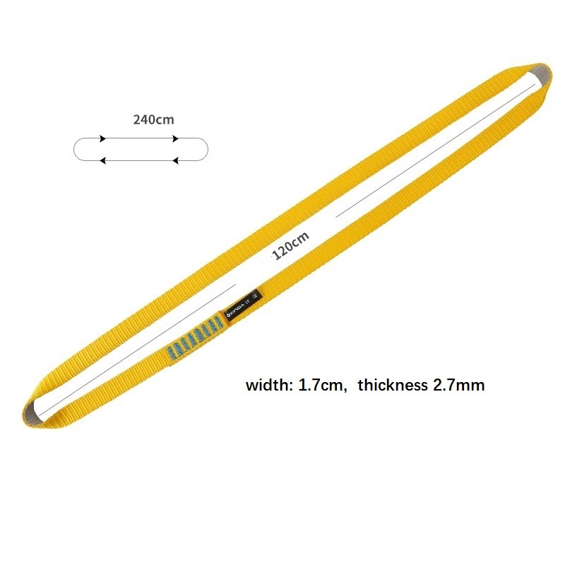 descending safety lanyard