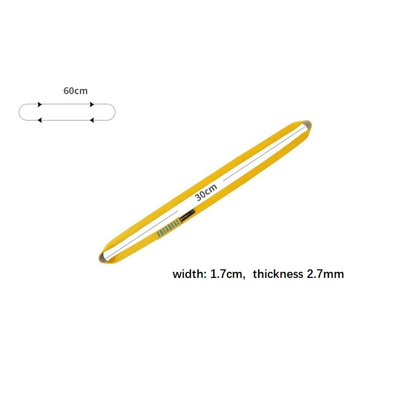 descending safety lanyard