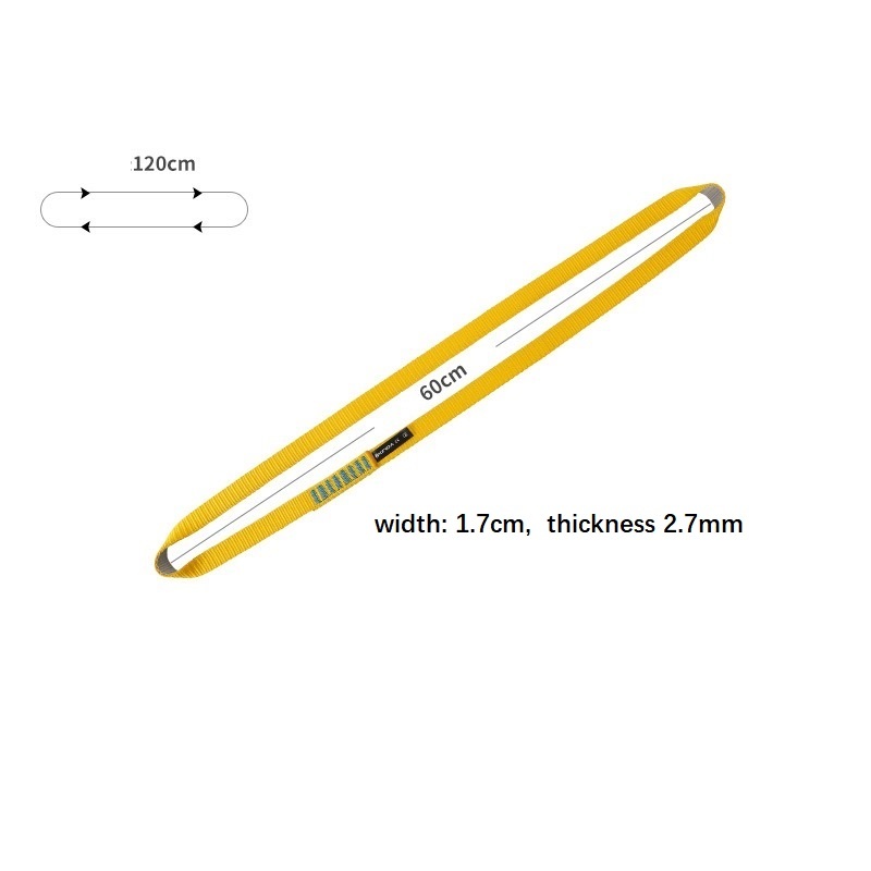 descending safety lanyard