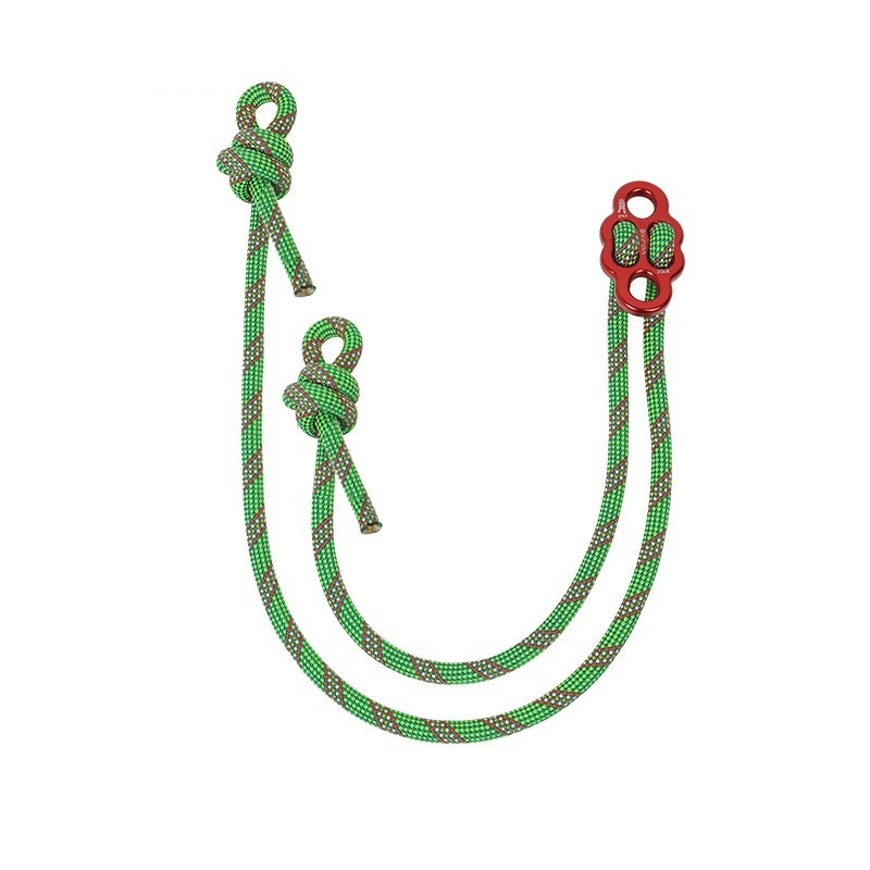 Descender rigging plate