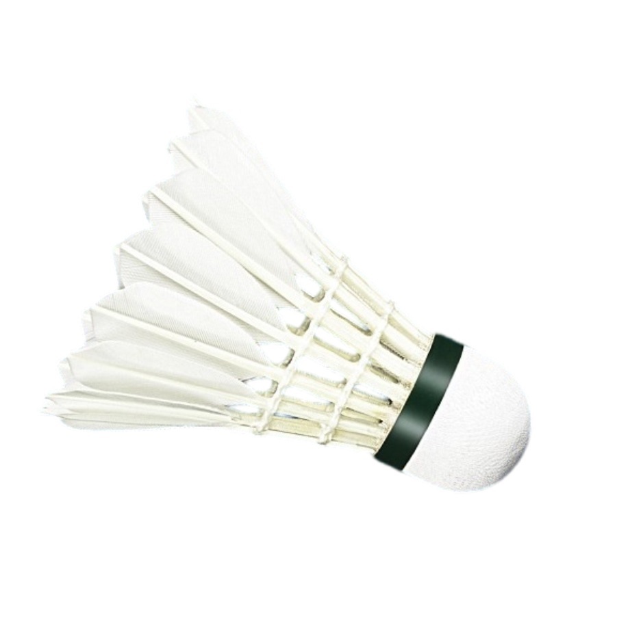 Professional badminton A1 Plus
