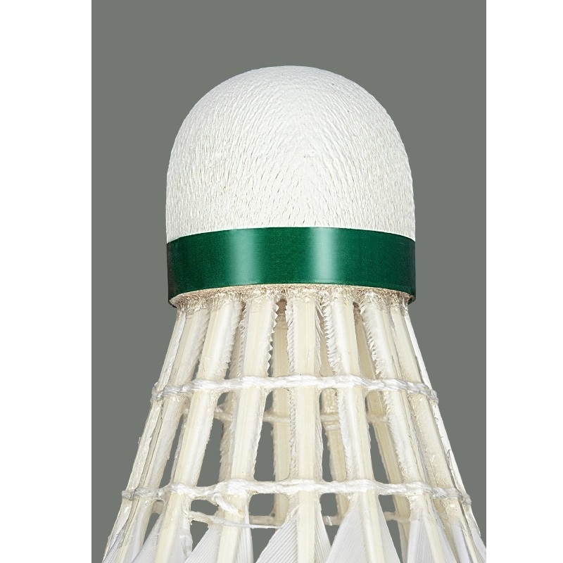 Professional badminton A1 Plus
