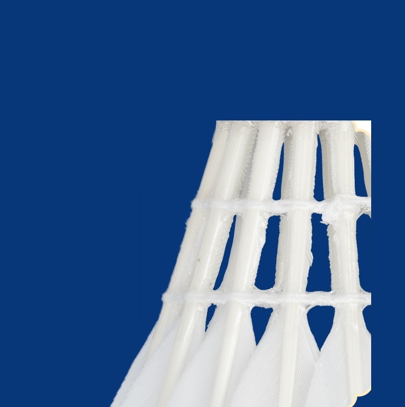 Professional badminton A1 Plus