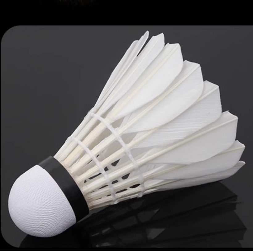 Professional badminton A1 12 pcs