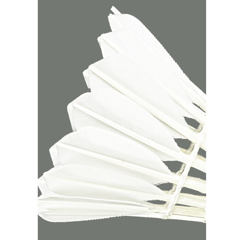Professional badminton A1 Plus