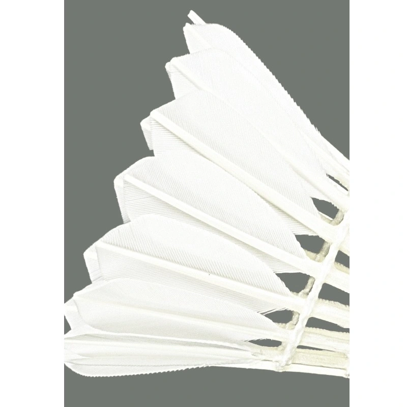 Professional badminton A1 12 pcs