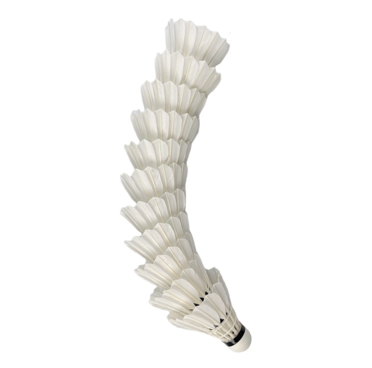 Professional badminton A1 12 pcs