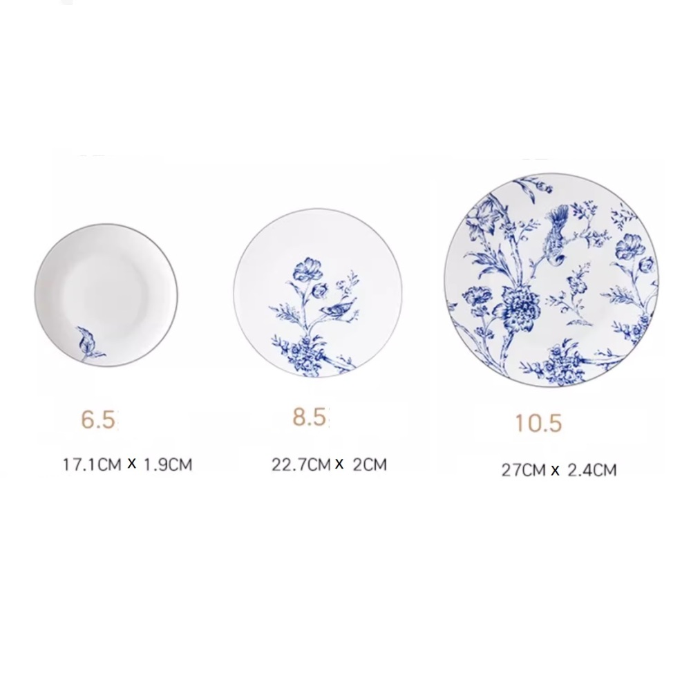 Porcelain dinner plate