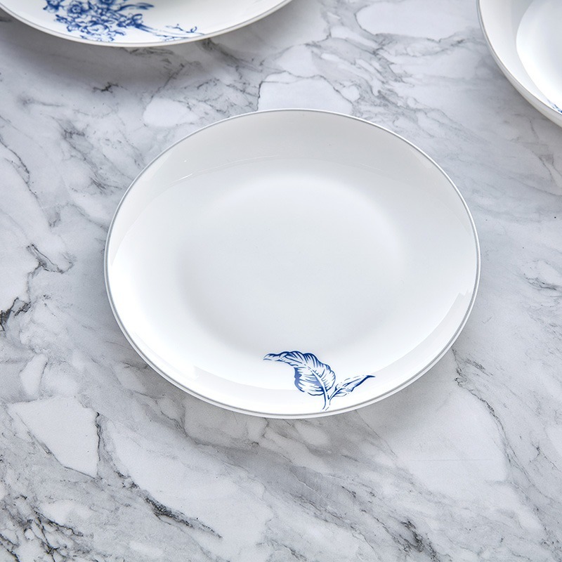 Porcelain dinner plate