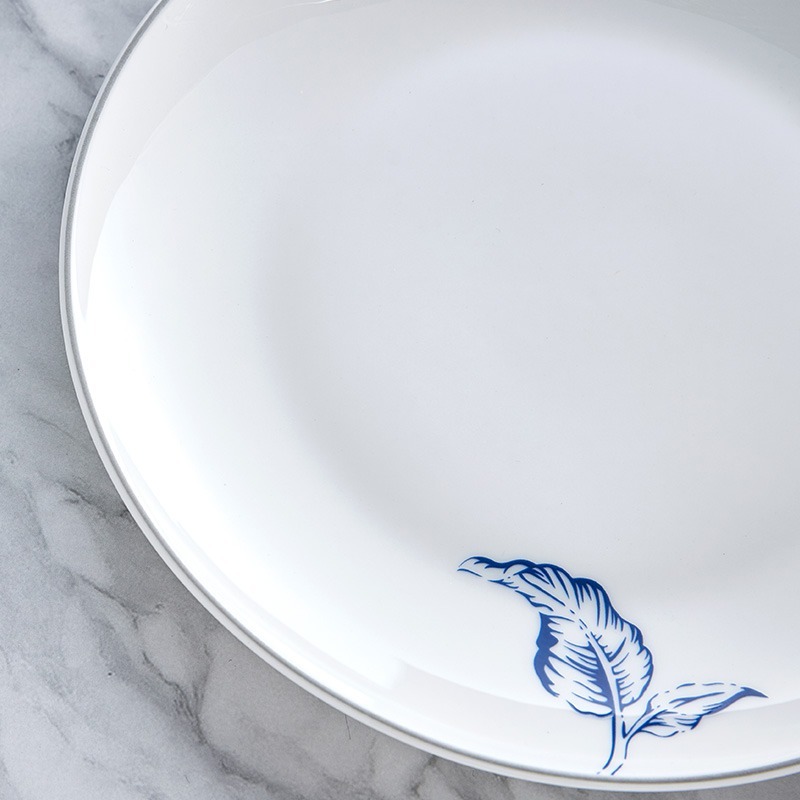 Porcelain dinner plate