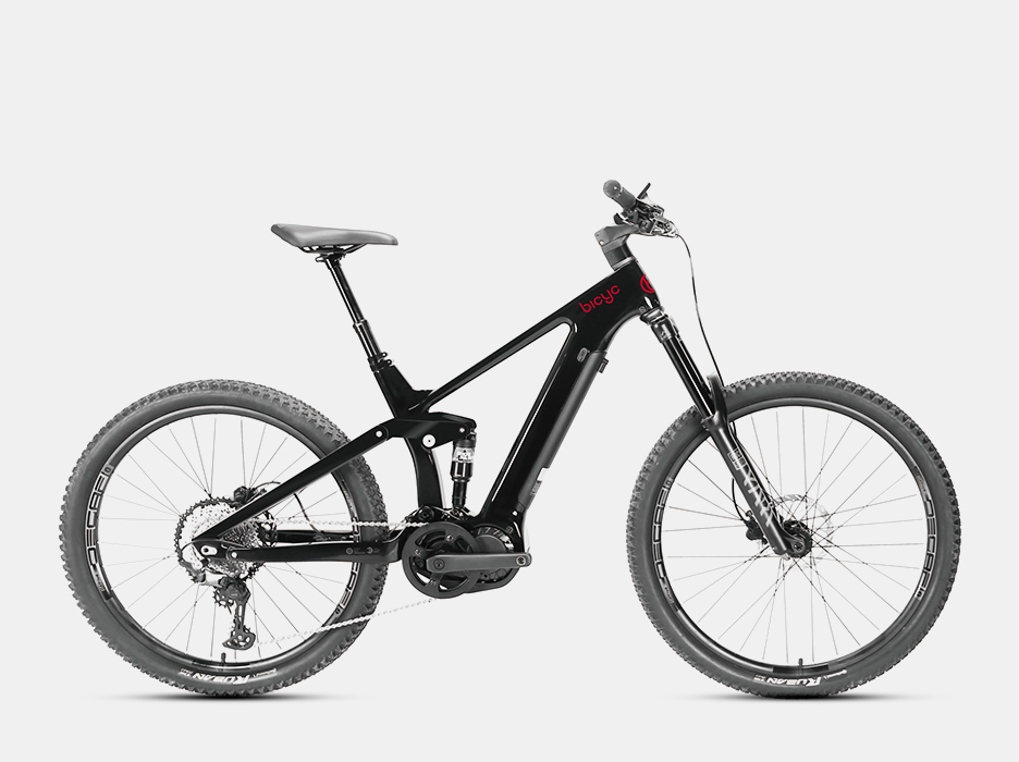 A Global Bicycle Supply Chain Manager.A 