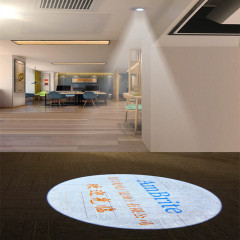 Embedded Static Projector