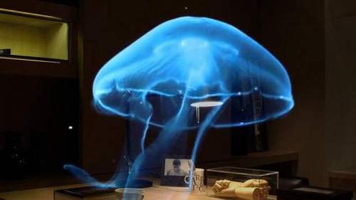 Holographic Display Cases