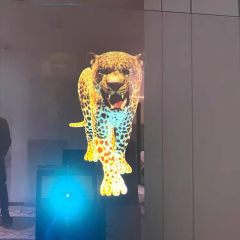 Transparent 3D Holographic Projection Solutions