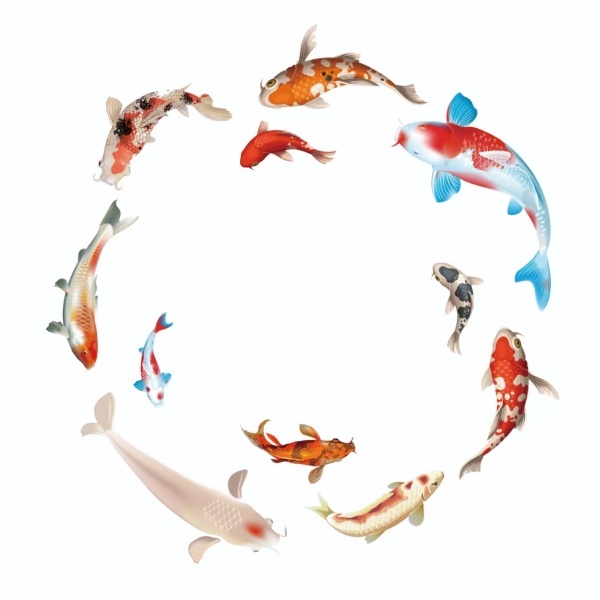 Fish/Shark Dynamic Projector