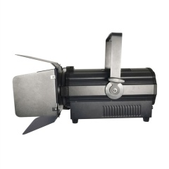 Manual Zoom Spot Light