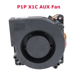 Only Fan