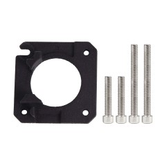 Main plate