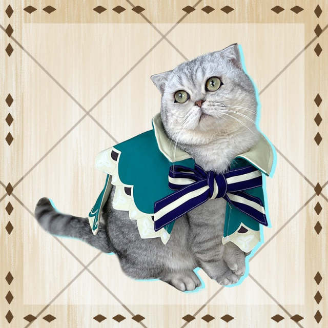 Genshin Impact Venti Pets Cosplay Costume