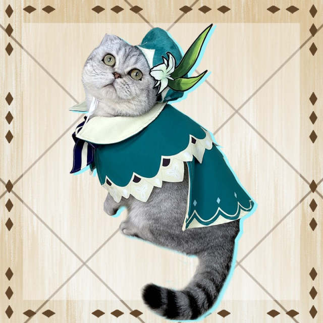Genshin Impact Venti Pets Cosplay Costume