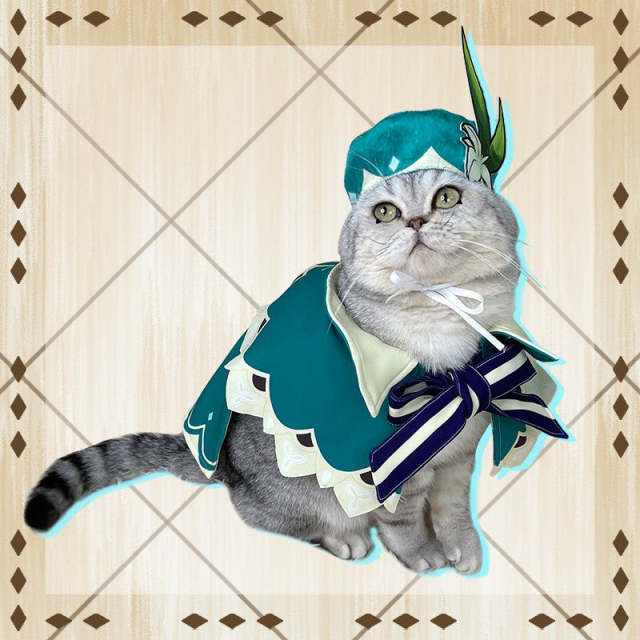 Genshin Impact Venti Pets Cosplay Costume