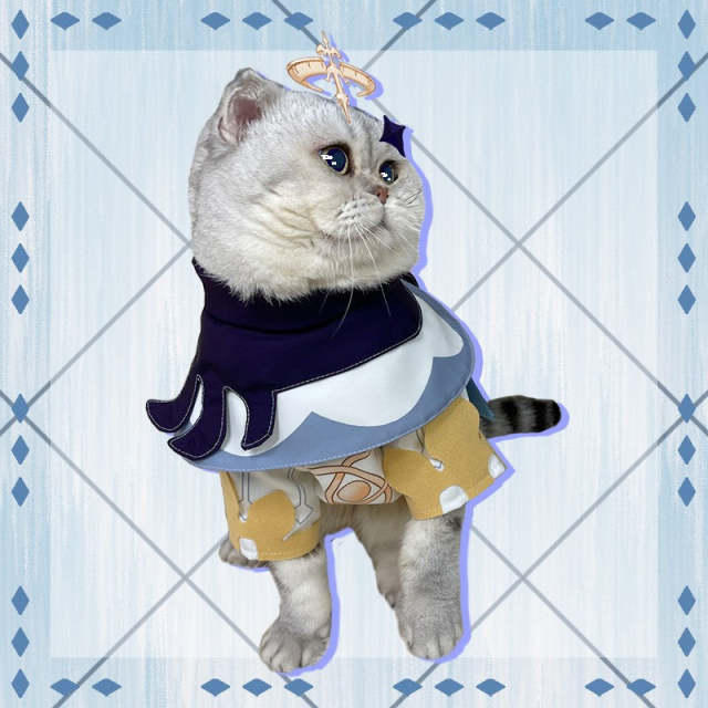 Genshin Impact Paimon Pets Cosplay Costume