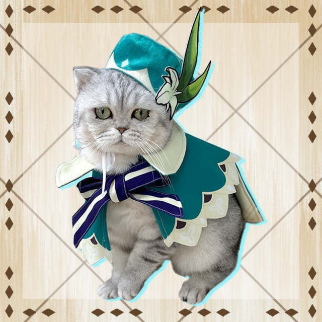 Genshin Impact Venti Pets Cosplay Costume