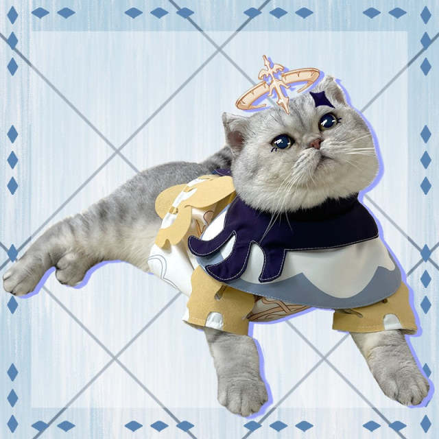 Genshin Impact Paimon Pets Cosplay Costume