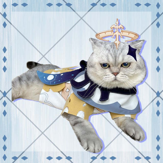 Genshin Impact Paimon Pets Cosplay Costume