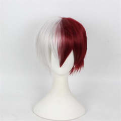 My Hero Academia /Todoroki Shoto