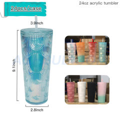 US warehouse 24oz double wall acrylic tumbler mix color