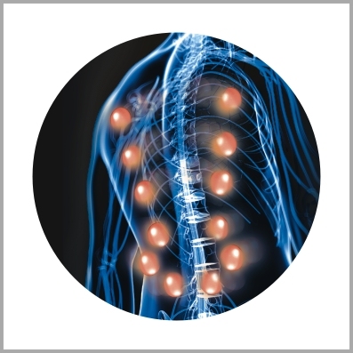 12 MASSAGE HEADS 3D ROLLING MASSAGE CUSHION