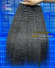 iqueenla Kinky Straight  Mink Hair Tape In 1/3/4 Packs 20/60/80 Pcs Deal