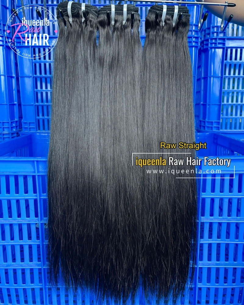 How to Reduce Double Coat Dog Shedding: My Personal Experience