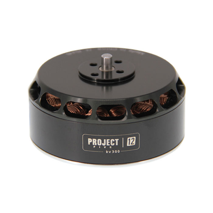Tarot 5012 300KV Brushless Motor TL50P12 for Multi-Rotor Quad