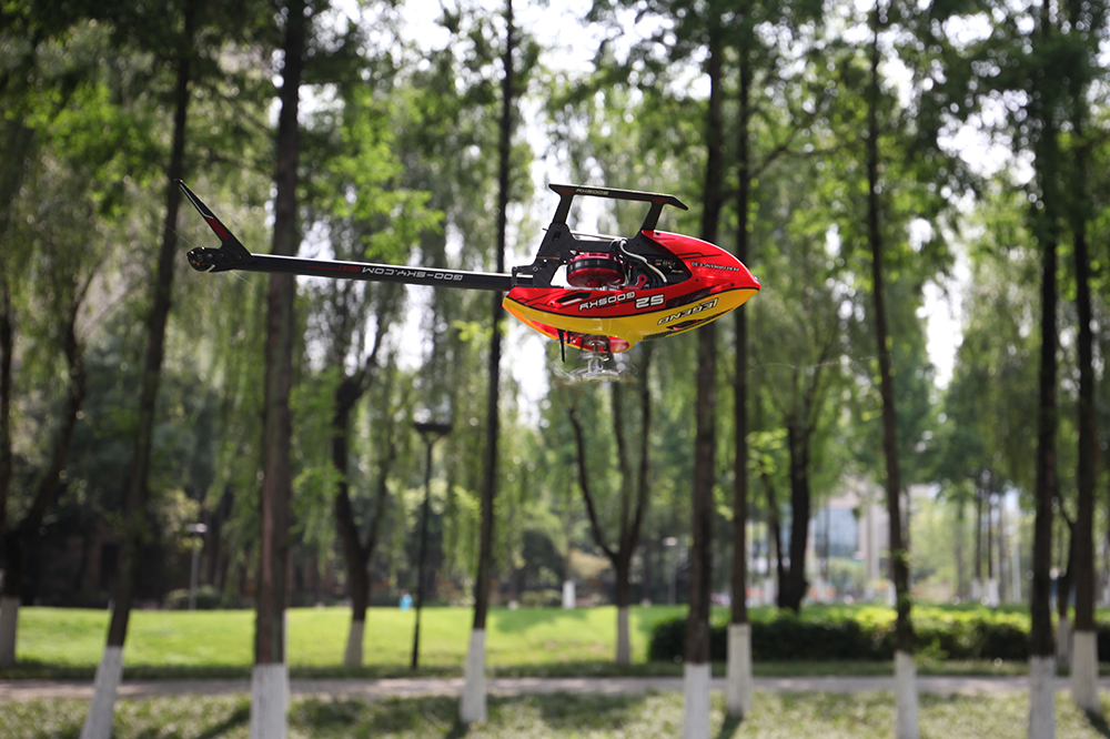 Goosky S2 High Performance 6-CH Direct Drive 3D RC Helicopter RTF